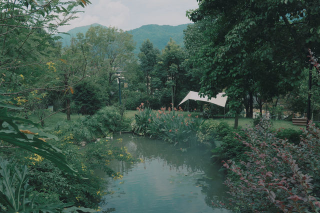 長大以後，終於換我們帶父母看世界了