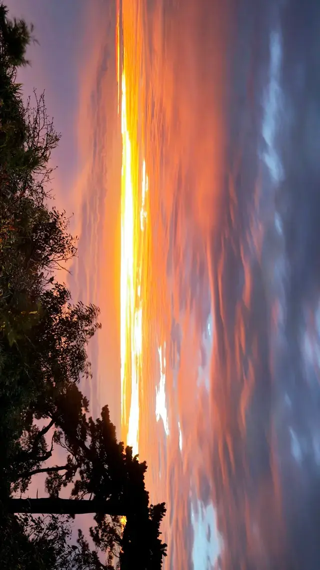 輕鬆拿下三清山大大大環線附保姆級攻略！