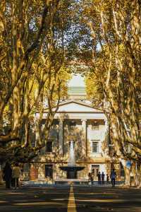 南京賞秋倒數最後10天必打卡的絕美秋色攻略