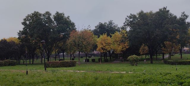 十年後再遇平遙|這座千年古城真的值得N刷! 十年後再遇平遙|這座千年古城真的值得N刷!