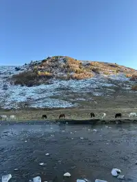 在雪山的凝視下,感受生命的奔放與靈性