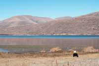 秋日卡薩湖 | 川西路上不可錯過