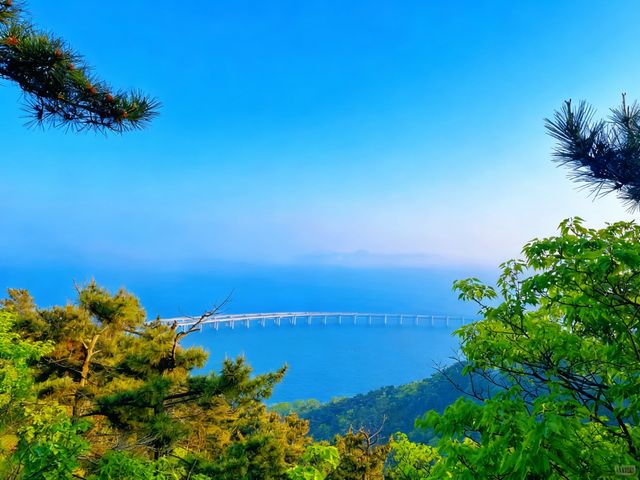 大連東港：落日餘暉下的浪漫之約，還有更多驚喜等你發現