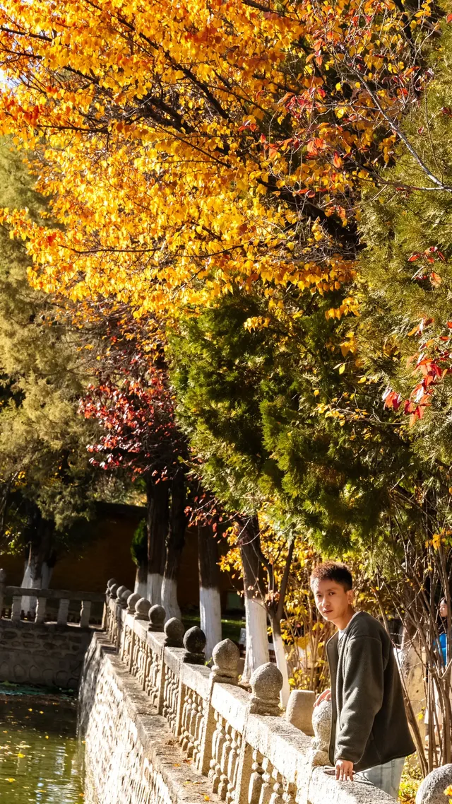 西藏小眾出片地羅布林卡 | 西藏版頤和園