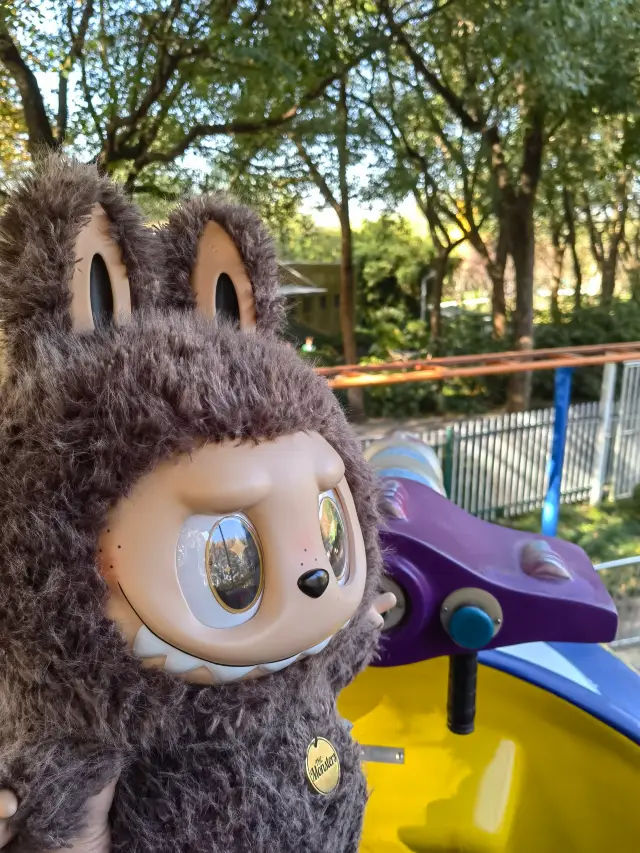 黎安公園賞銀杏