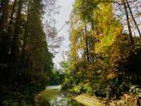 一場與花藥同行的邂逅