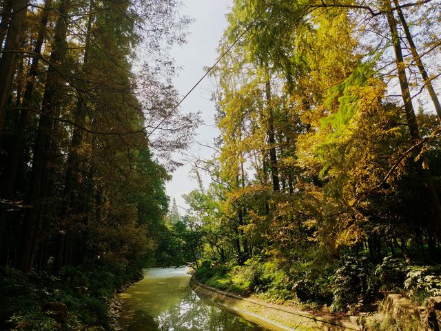 一場與花藥同行的邂逅