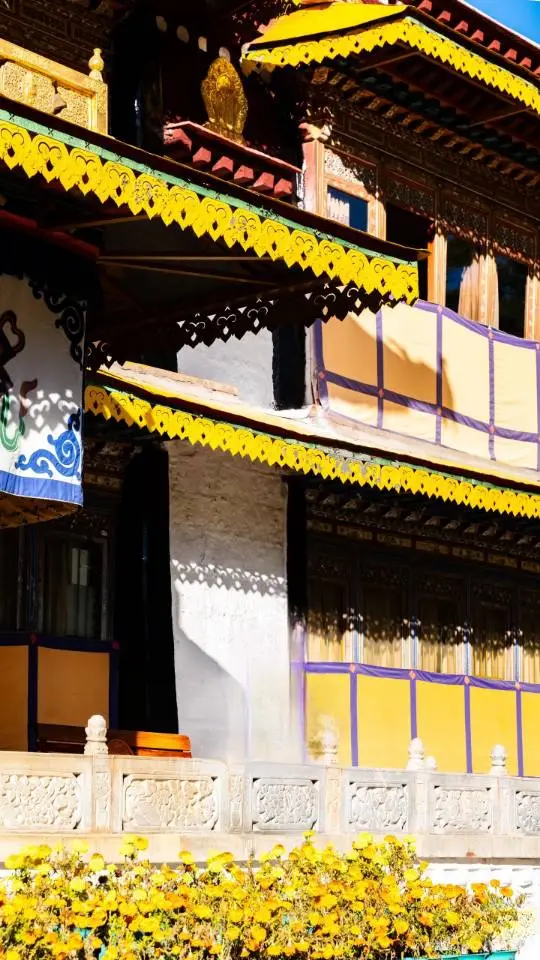 羅布林卡 | 西藏版頤和園