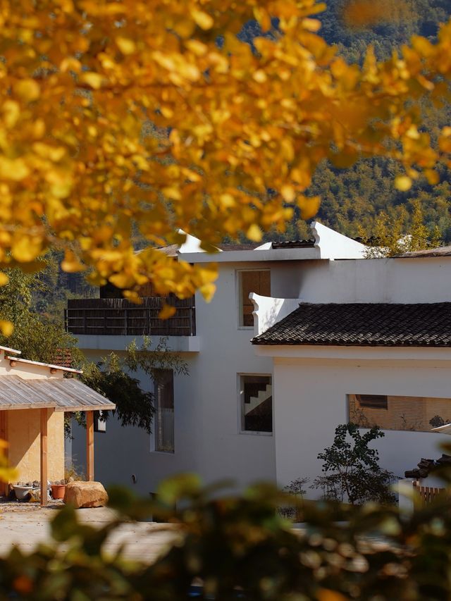 覆卮山小眾絕美民宿 覆卮山小眾絕美民宿