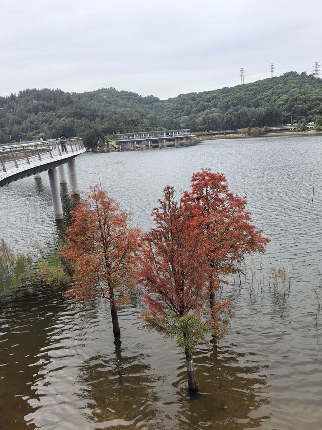 2025廈門徒步之山海步道全程