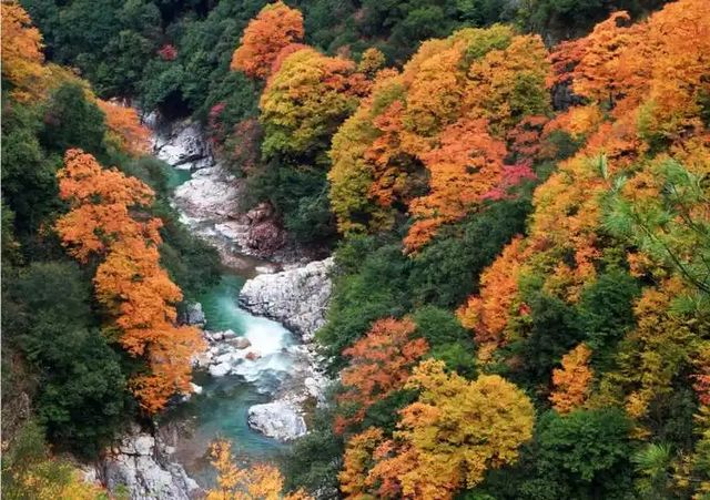 巴中秘境大揭秘竟藏著中國最美的山水畫卷