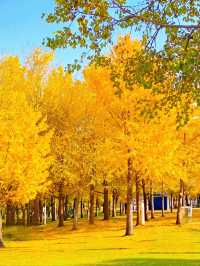 上海發布認證 已達巔峰值 相當炸裂