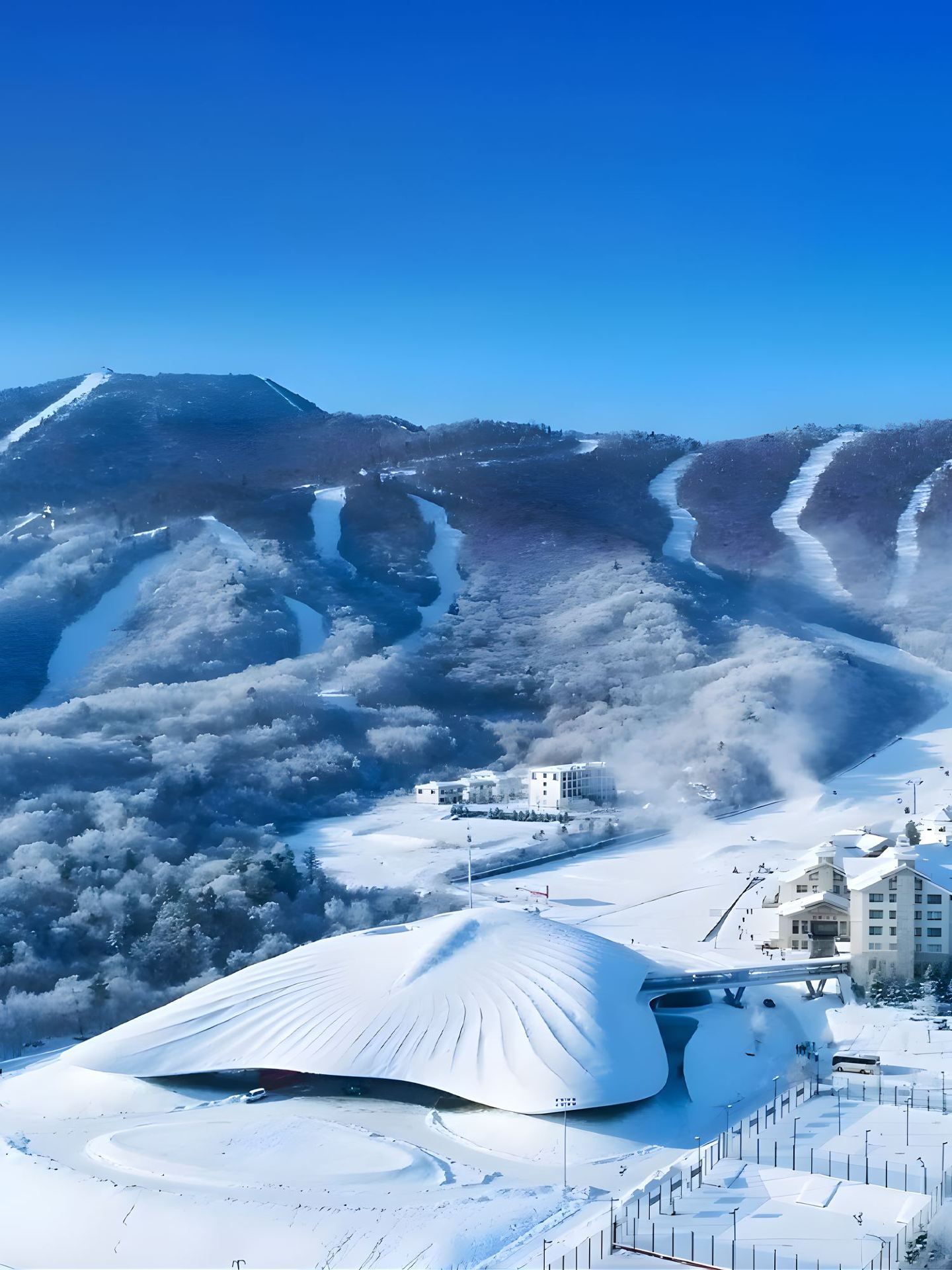 5-Day Must-See Guide to Exploring Harbin