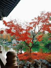 上海世博文化公園裡隱藏的寶藏園林!申園也太仙了叭~