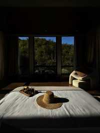 安吉隱世新坐標|竹林泳池邂逅星空