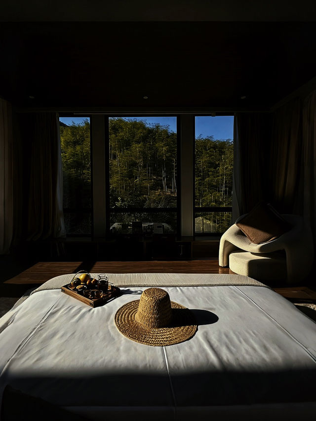 安吉隱世新坐標|竹林泳池邂逅星空 安吉隱世新坐標|竹林泳池邂逅星空