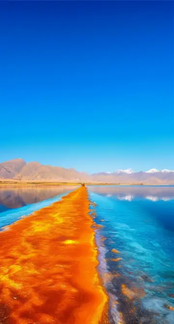 청해를 여행하세요