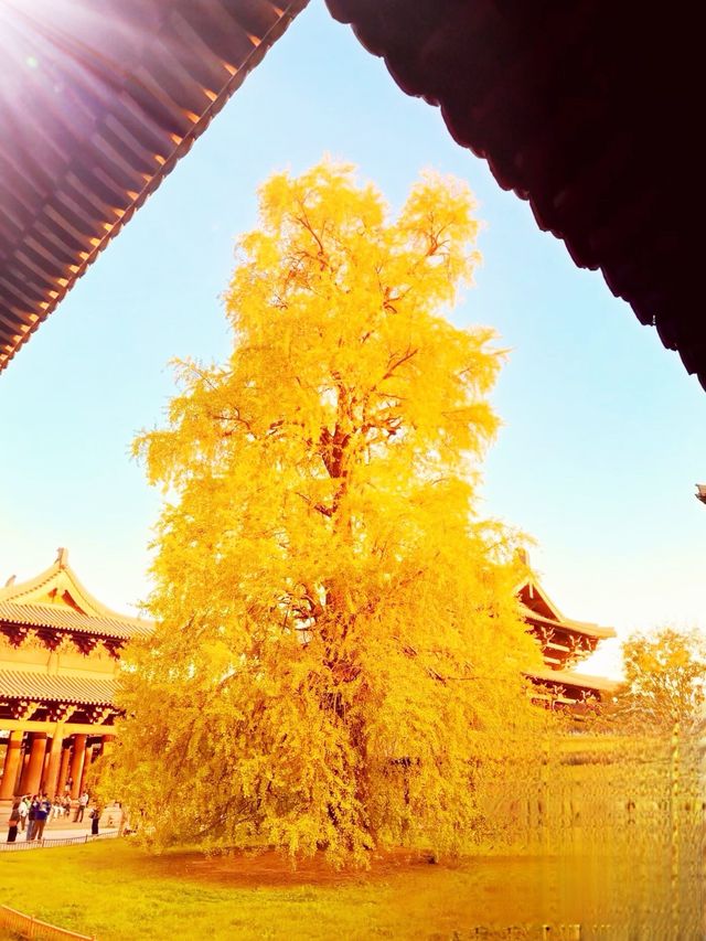 江浙滬嚴重被低估的寶藏古鎮!!附詳細攻略! 江浙滬嚴重被低估的寶藏古鎮!!附詳細攻略!