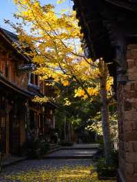 茶馬古道上的人間煙火 沙溪&劍川治癒系小鎮遊