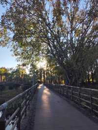 深秋漫步普洱,邂逅人間絕美湖畔秘境