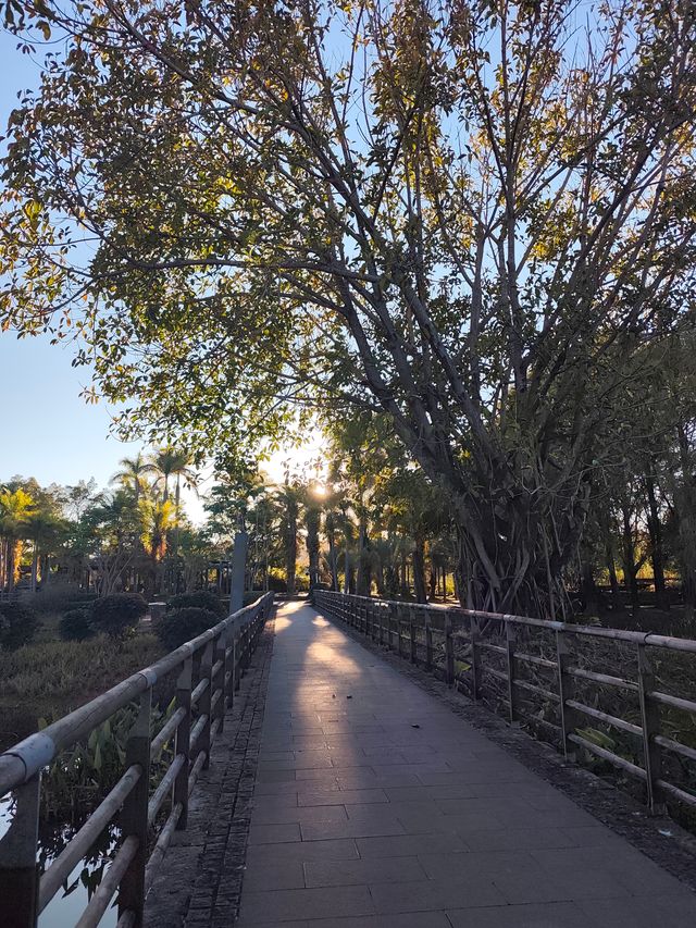 深秋漫步普洱,邂逅人間絕美湖畔秘境 深秋漫步普洱,邂逅人間絕美湖畔秘境