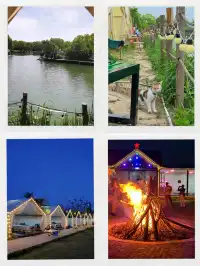 上海這跨年煙花也太好看了吧！