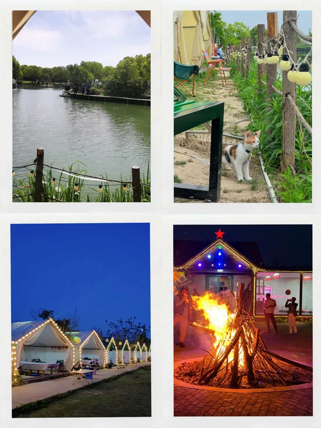 上海這跨年煙花也太好看了吧！