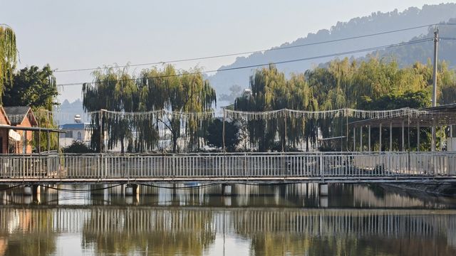 邛海最美秋色打卡點 邛海最美秋色打卡點