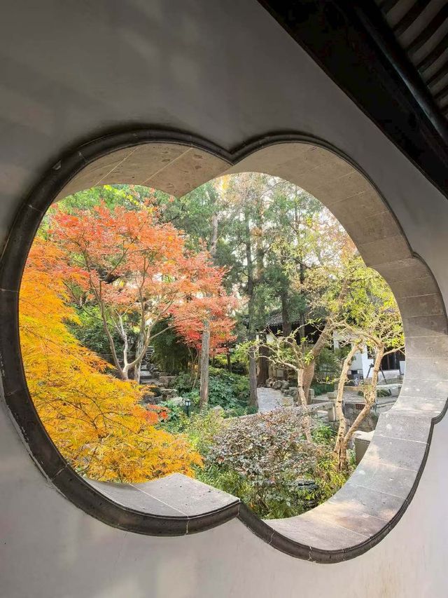江南煙雨中的五大古典園林之一·曲水園 江南煙雨中的五大古典園林之一·曲水園