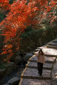 總要去莫干山看一次楓葉吧!