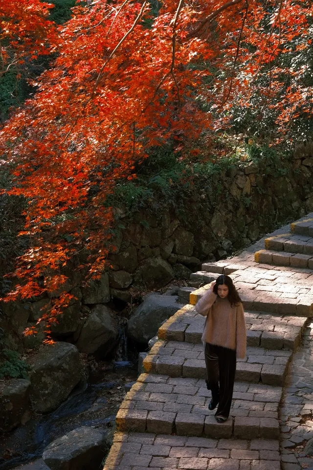 總要去莫干山看一次楓葉吧! 總要去莫干山看一次楓葉吧!