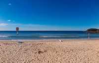 海邊自駕這樣玩不迷路