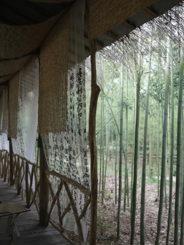 Nature|關於莫干山的超治癒吸氧之旅 Nature|關於莫干山的超治癒吸氧之旅