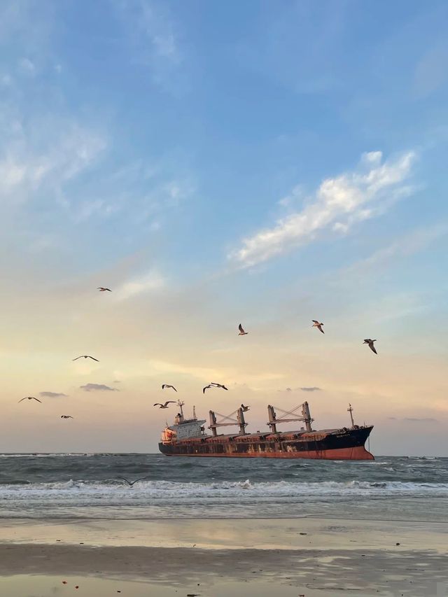 冬遊青島-威海-煙台 美到不想走 冬遊青島-威海-煙台 美到不想走