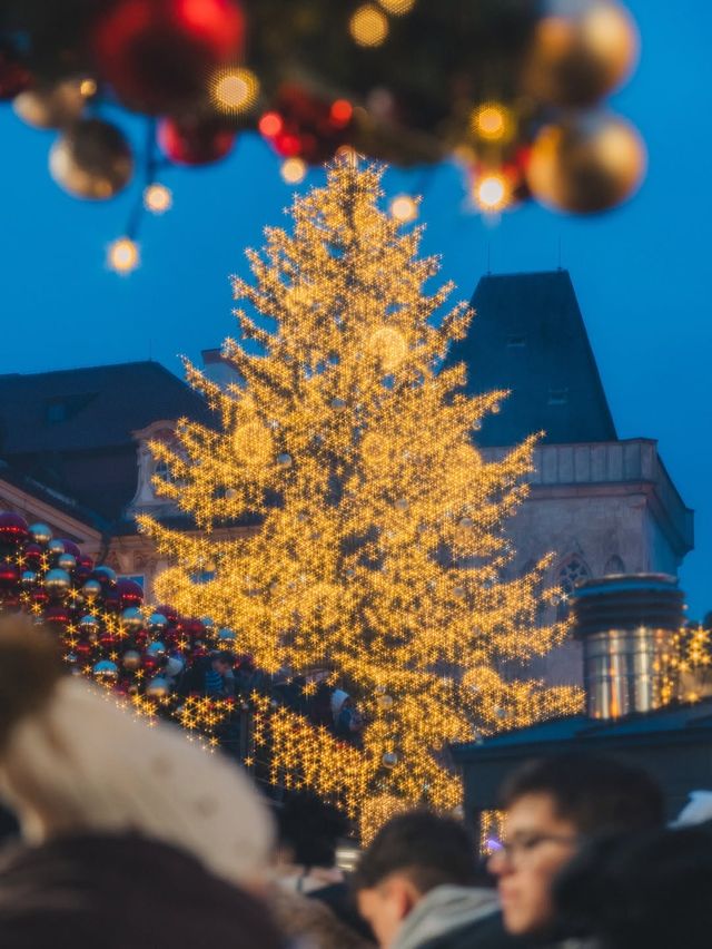 布拉格夜未眠聖誕市集的浪漫瞬間全被我拍到了! 布拉格夜未眠聖誕市集的浪漫瞬間全被我拍到了!