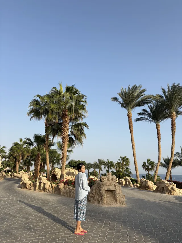 埃及 一個讓我又愛又恨的地方（一）