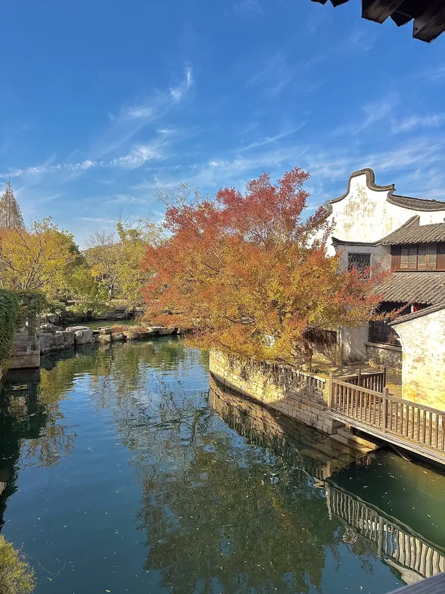 12月！預計會有10萬人來這裡…