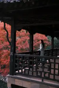 何園的雞爪槭，已經進入「高光時刻」