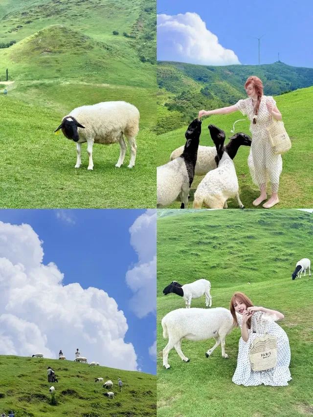 來郴州記住這些位置 記得去