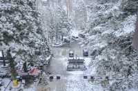 雪落廬山大廈：帶娃住進民國暖冬