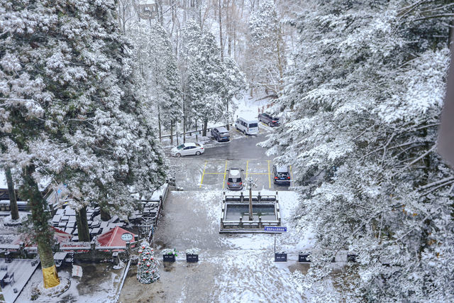 雪落廬山大廈：帶娃住進民國暖冬