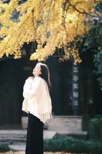 不要錯過揚州看銀杏的時節