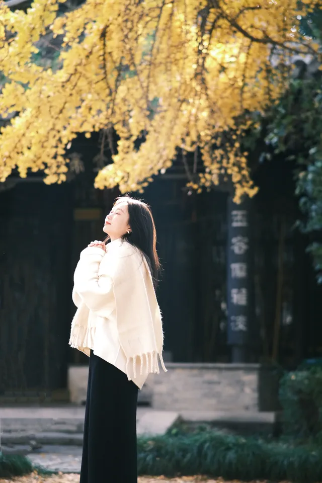 不要錯過揚州看銀杏的時節 不要錯過揚州看銀杏的時節