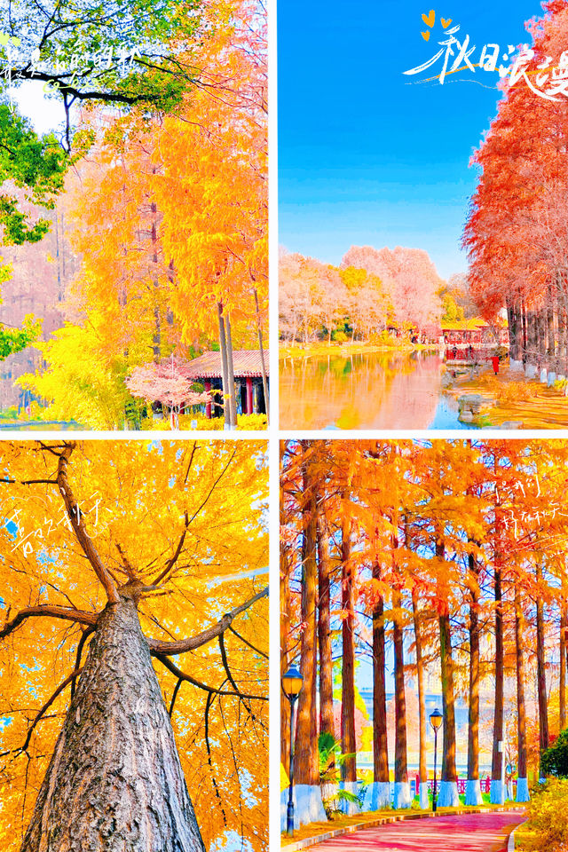 武漢秋天美炸了元旦跨年瘋玩攻略,錯過等一年 武漢秋天美炸了元旦跨年瘋玩攻略,錯過等一年