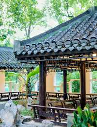 合肥私藏City walk路線 暢行霸都