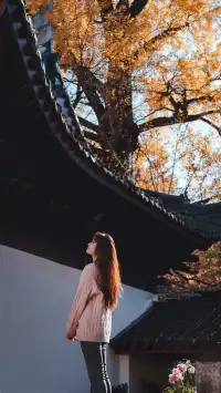 安吉｜靈峰山與章里古道