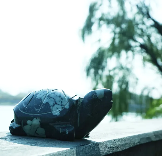 我終於來到了龍門石窟 我終於來到了龍門石窟