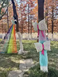 合肥毛衣樹遊園會紅衫林是大自然的調色盤