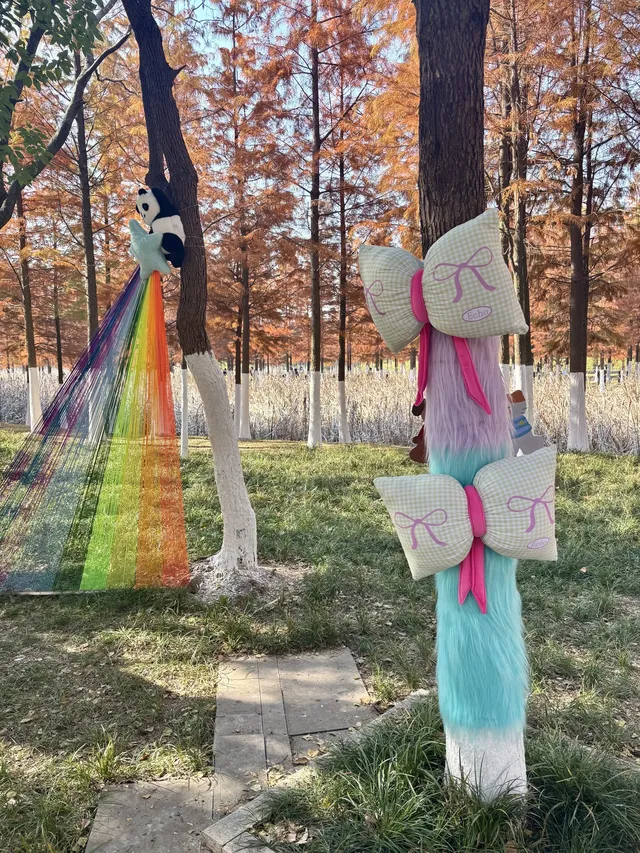 合肥毛衣樹遊園會紅衫林是大自然的調色盤 合肥毛衣樹遊園會紅衫林是大自然的調色盤