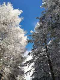 2025初雪赴一場蘆芽山冰雪奇緣!古堡溫泉全攻略